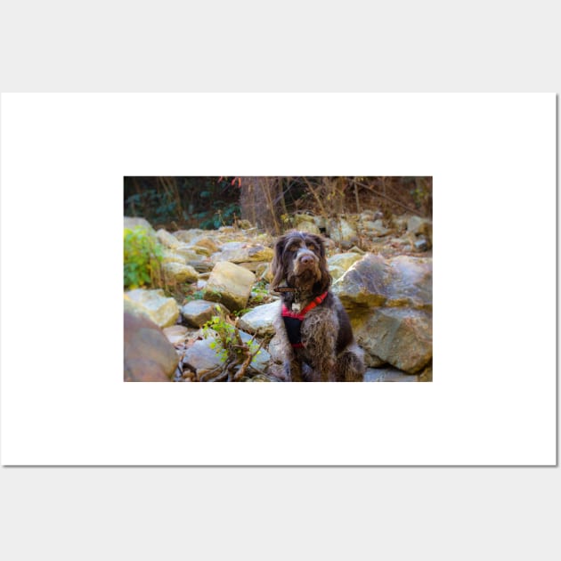 Monty Hiking Linville Gorge Wall Art by Isla Creek Casuals